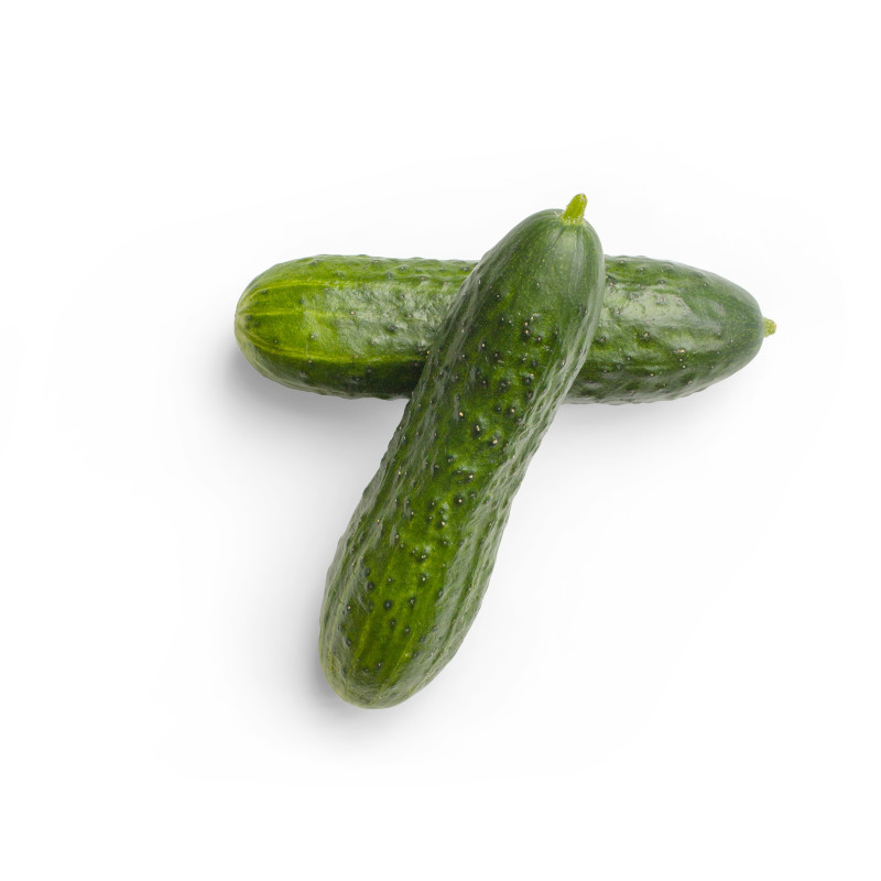 Fresh Cucumber, Each
