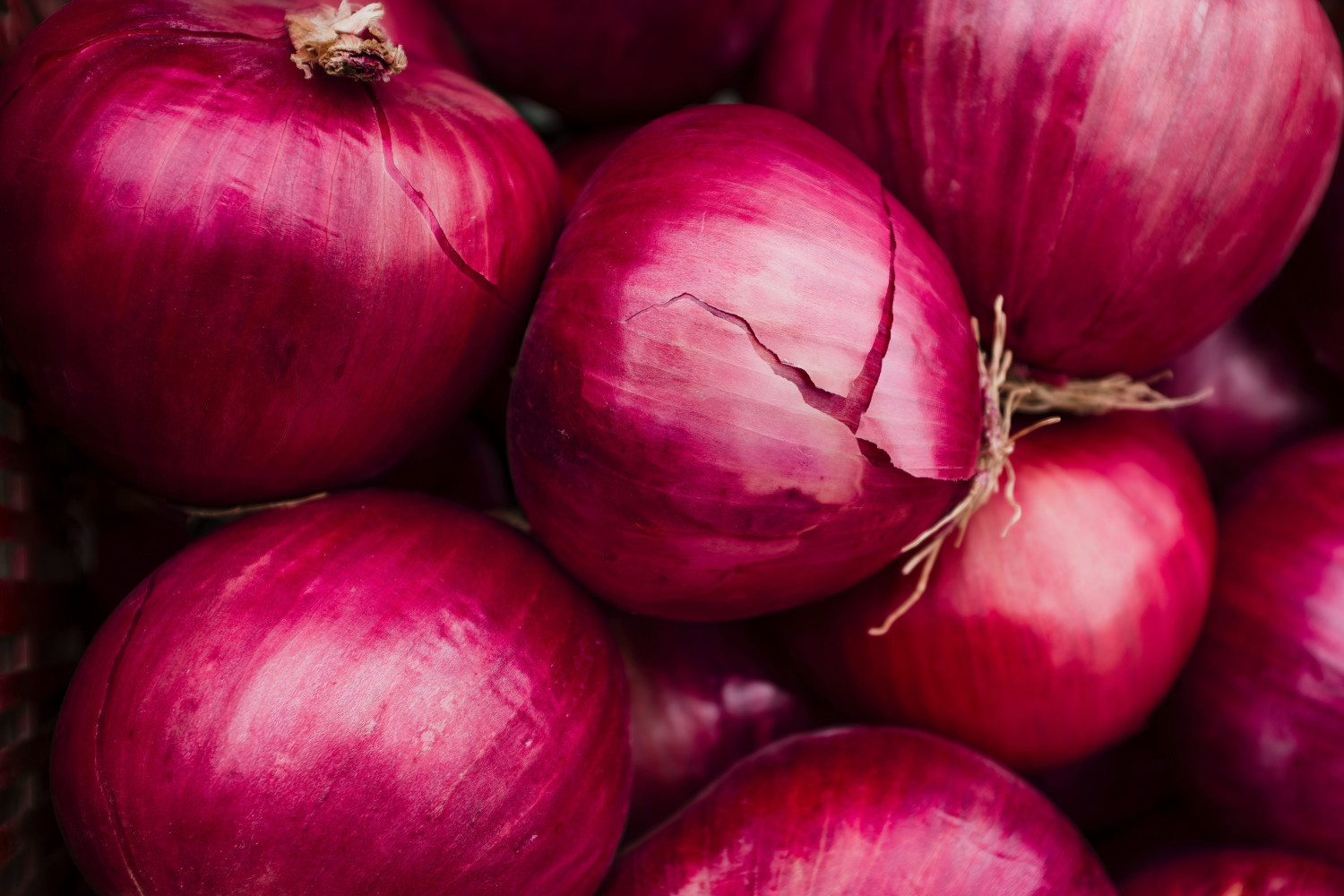 Fresh  Red Onion