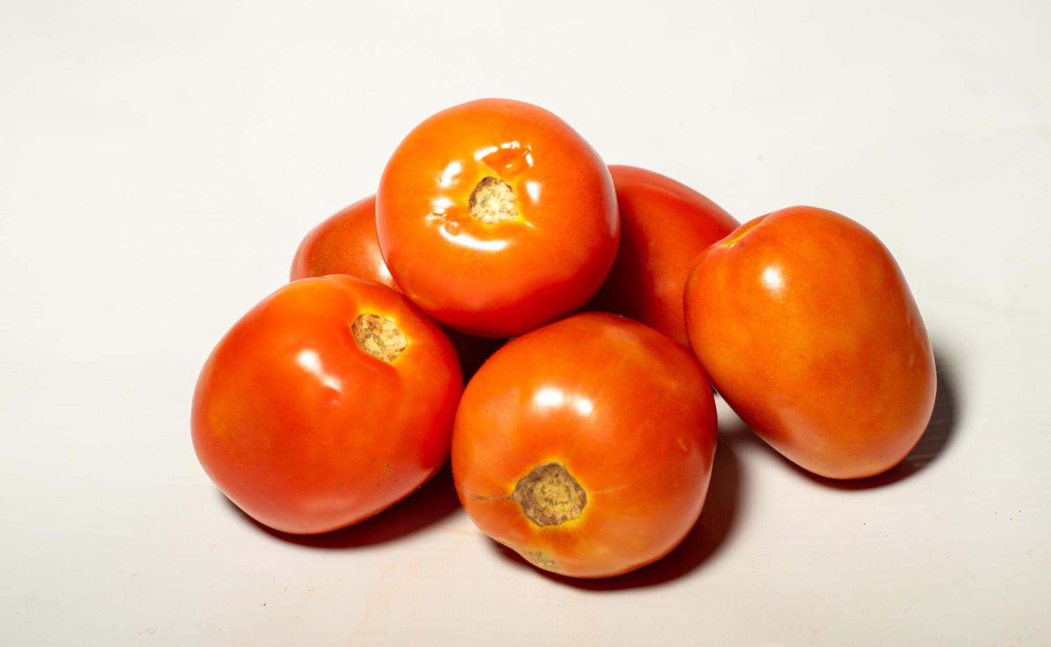 Fresh Slicing Tomato, Each