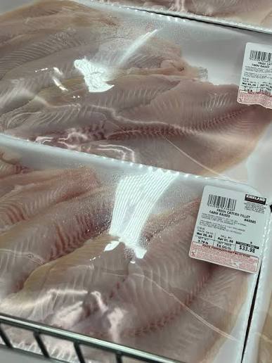 cutfish