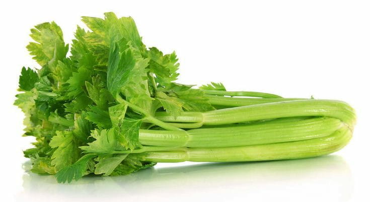 Bundle of celery